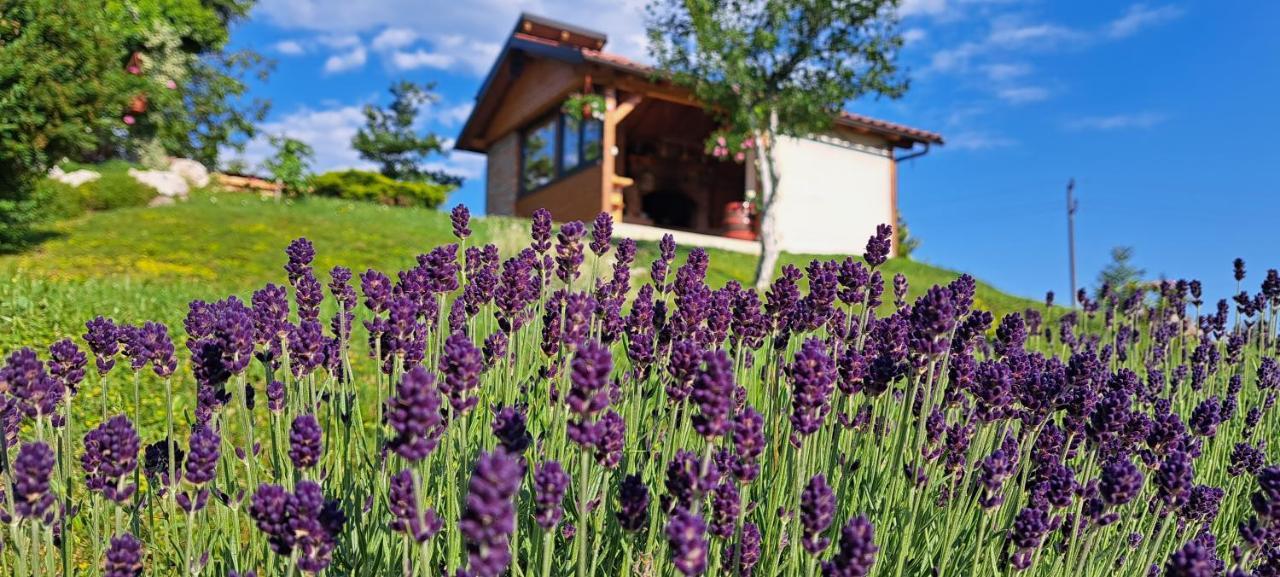 Apartma Relax Prestranek Zewnętrze zdjęcie